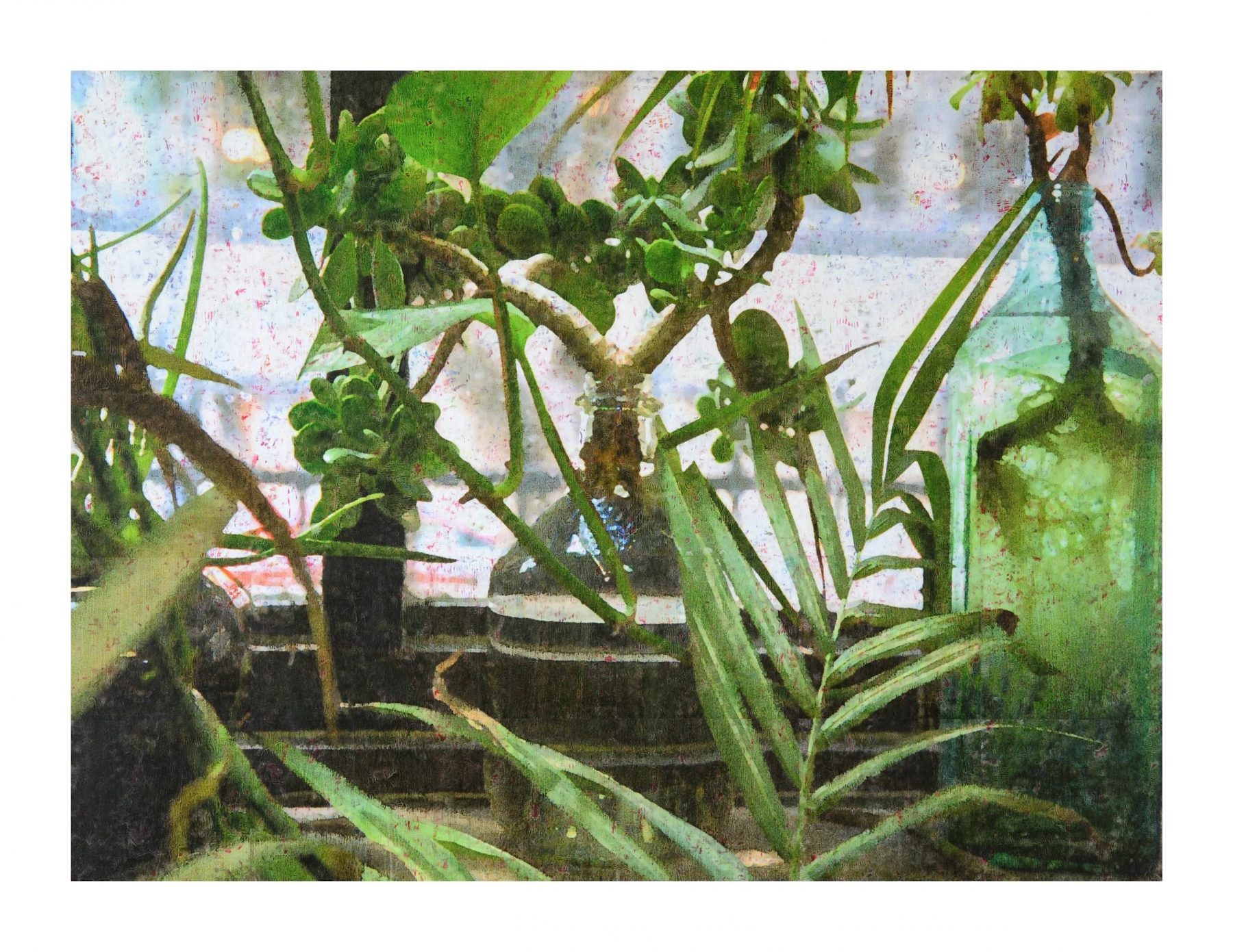 Fenster mit Pflanzen - Petschat, Ralph-J. - k-2111RP7