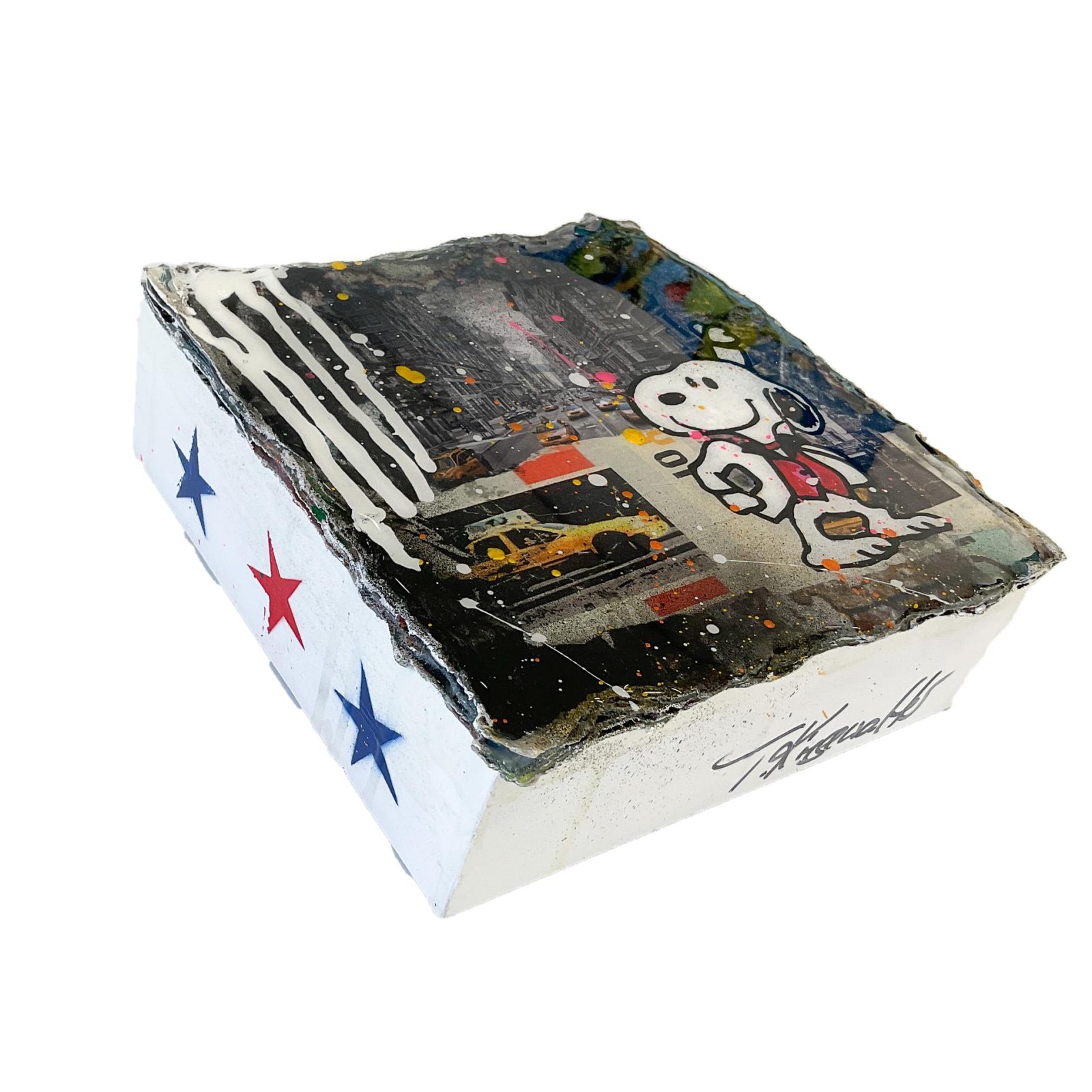 Crazy Box - Snoopy in New York - Kiesewalter, Tanja - k-2303TK1