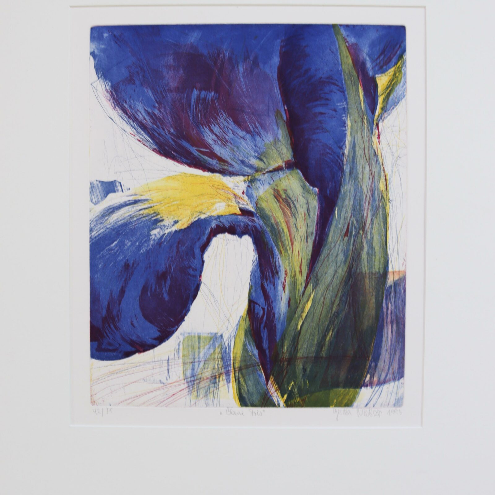 Blaue Iris - Nietzer, Gerda - k-08816