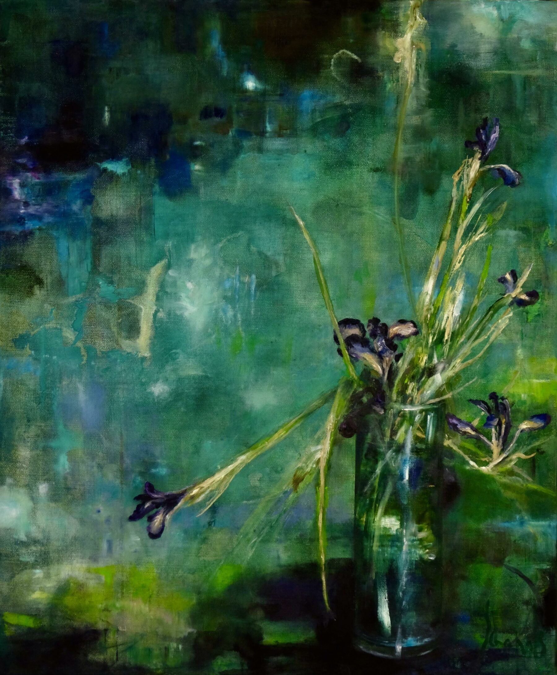 Faded Iris - Schapals, Carola - k-2505CS02