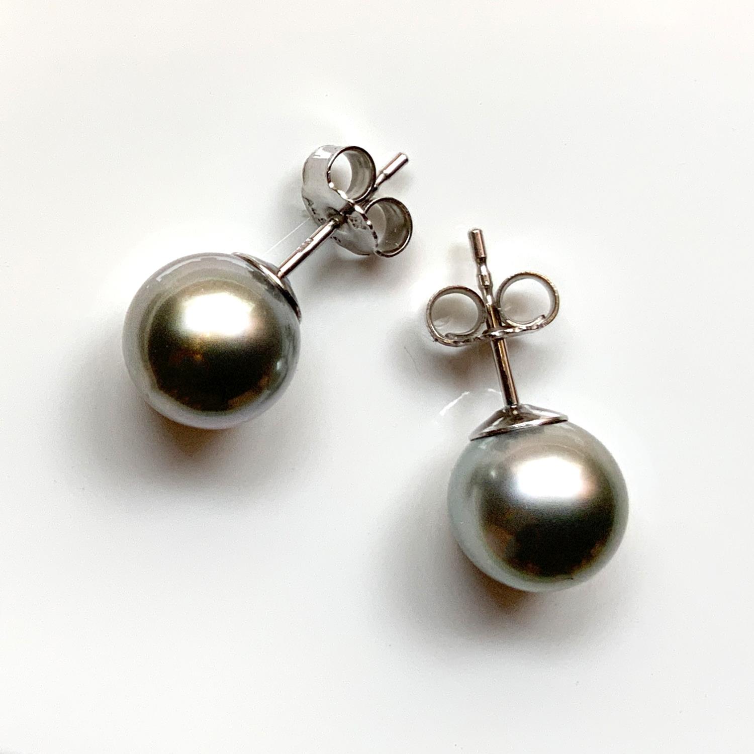 Tahitiperlen 8-9mm Ohrtsecker 14K Weissgold - GalerieVoigt - 5112-090