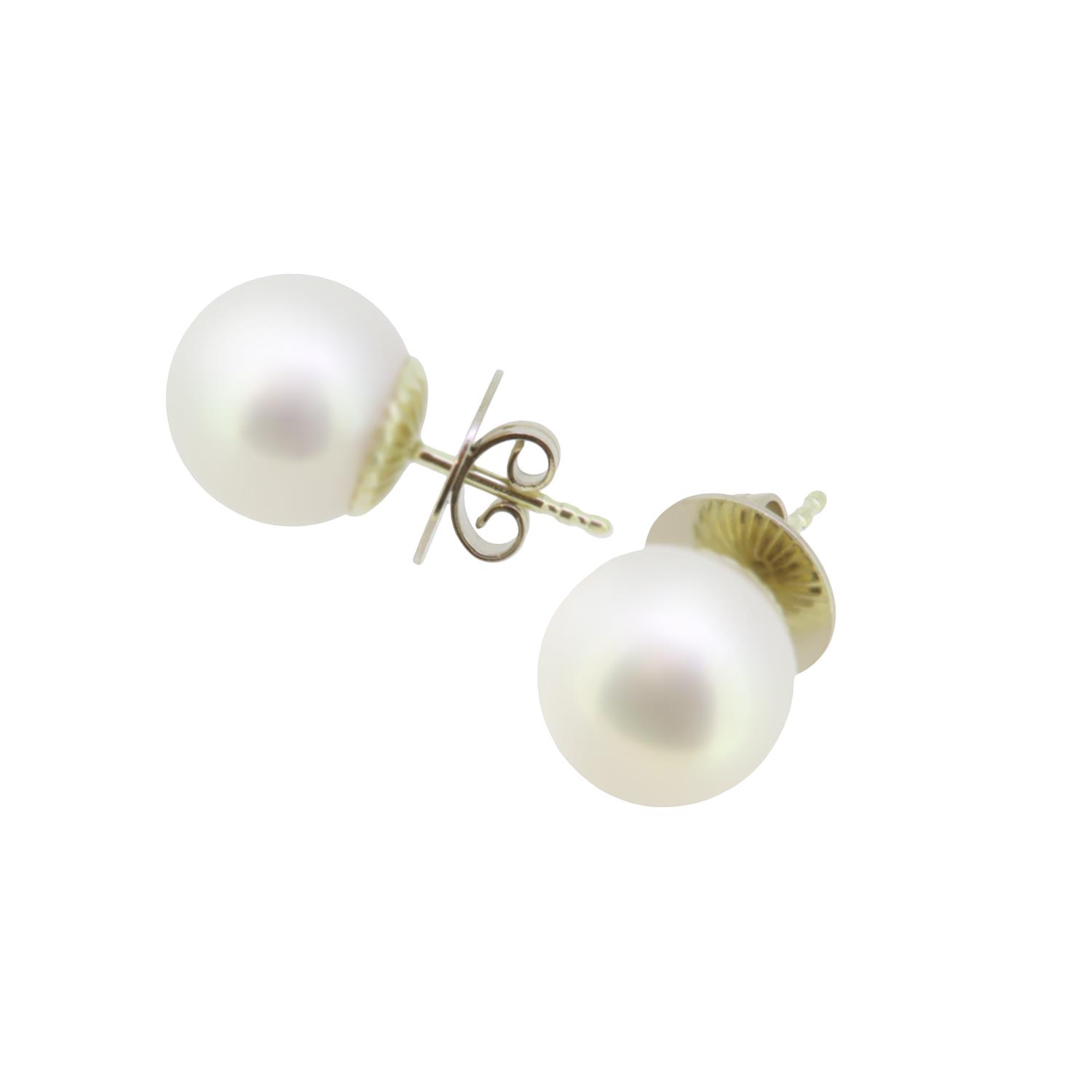 Ohrstecker Süßwasser 11,5-12mm - Schoeffel/Perle - 2062396