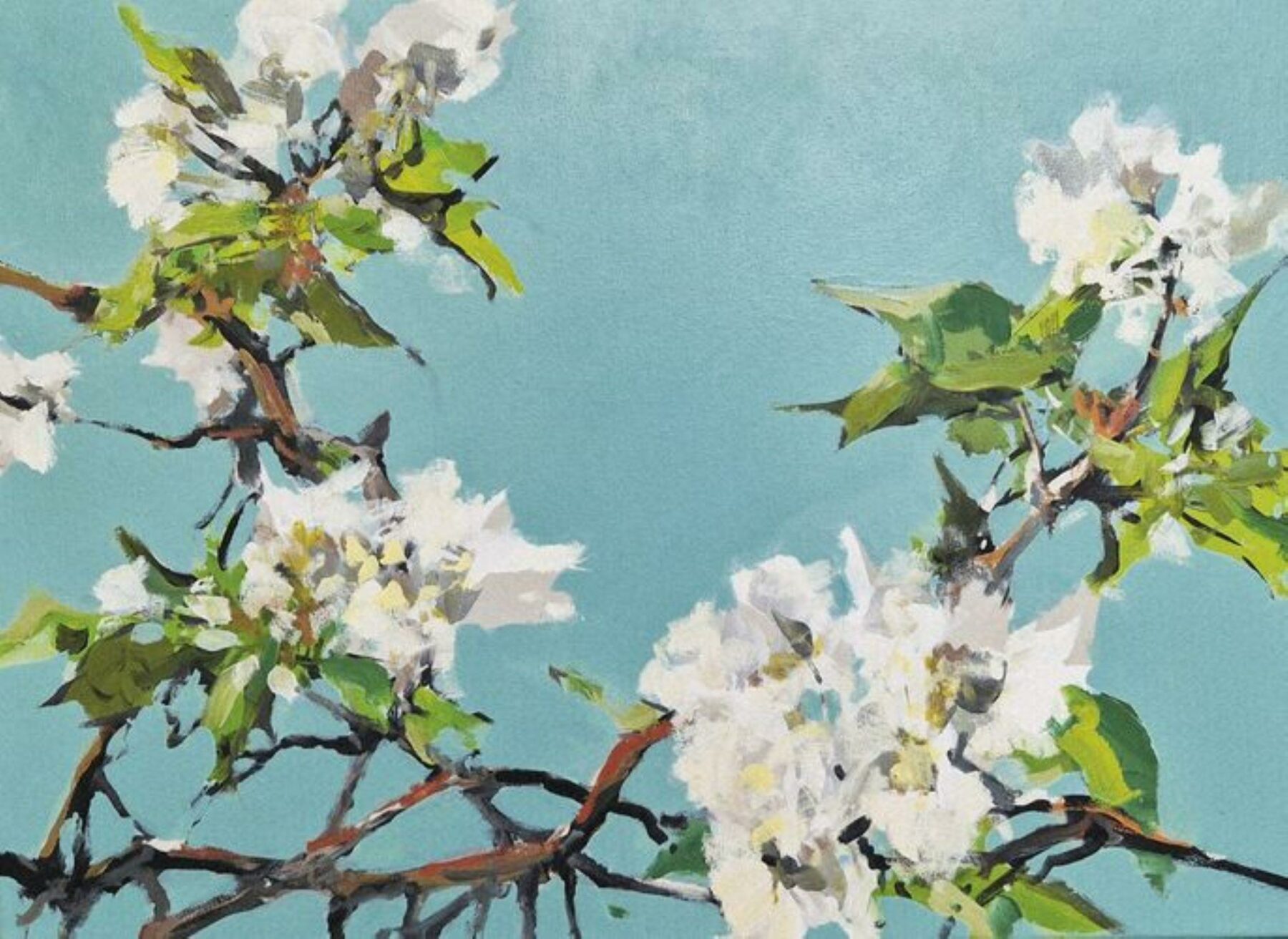 Apfelblüten - Schemmann, Jörg - k-SCH460