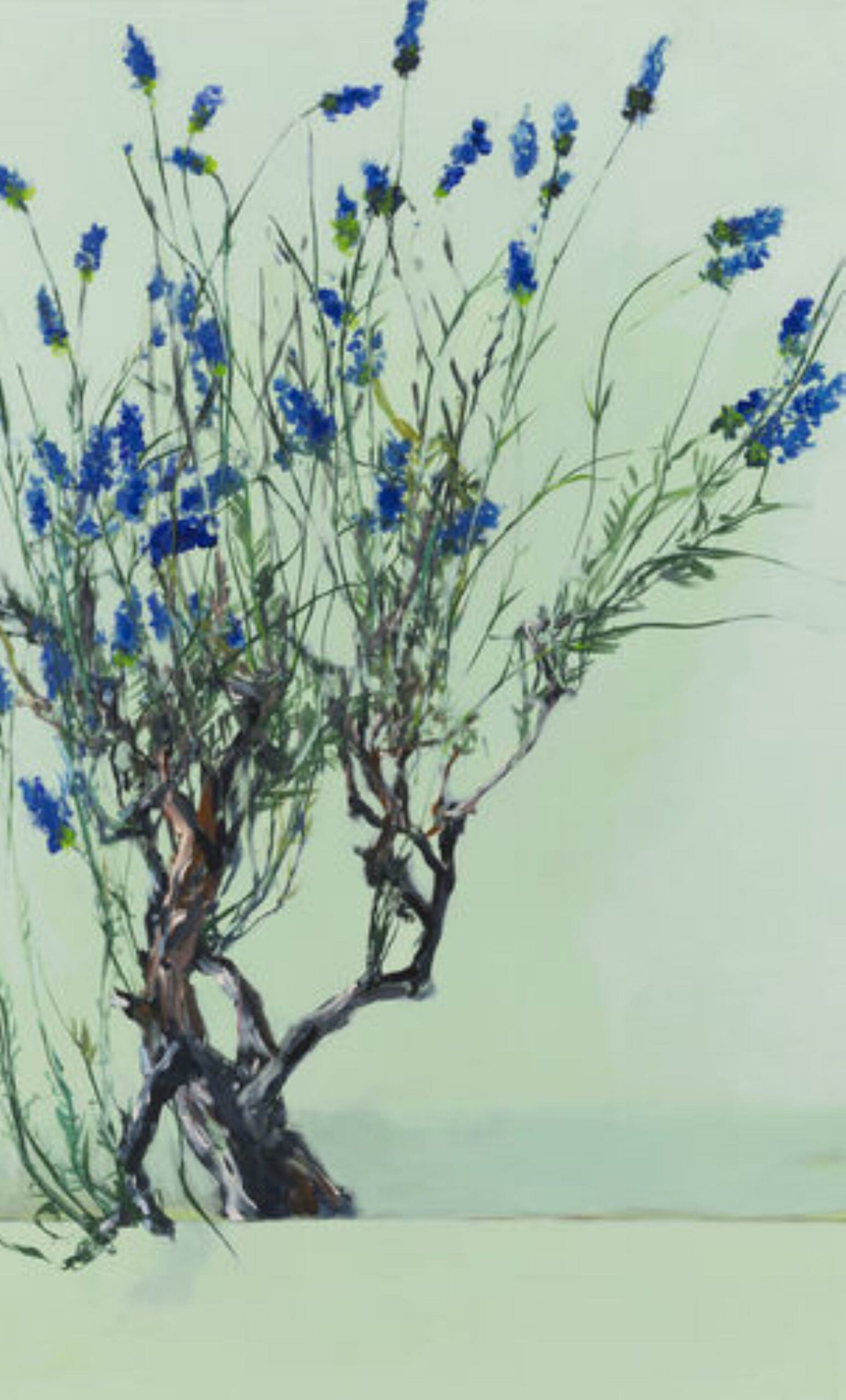 Lavendel - Schemmann, Jörg - k-SCH463