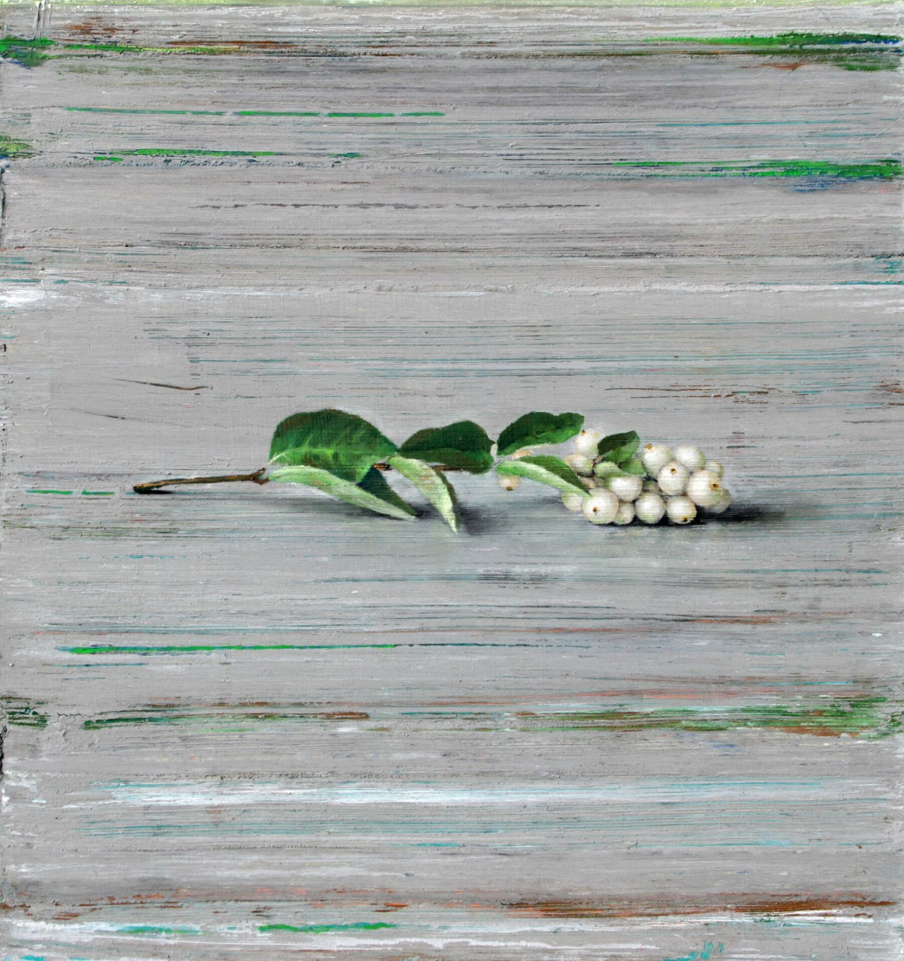 Schneebeeren - Lauterjung, Michael - k-2602ML16