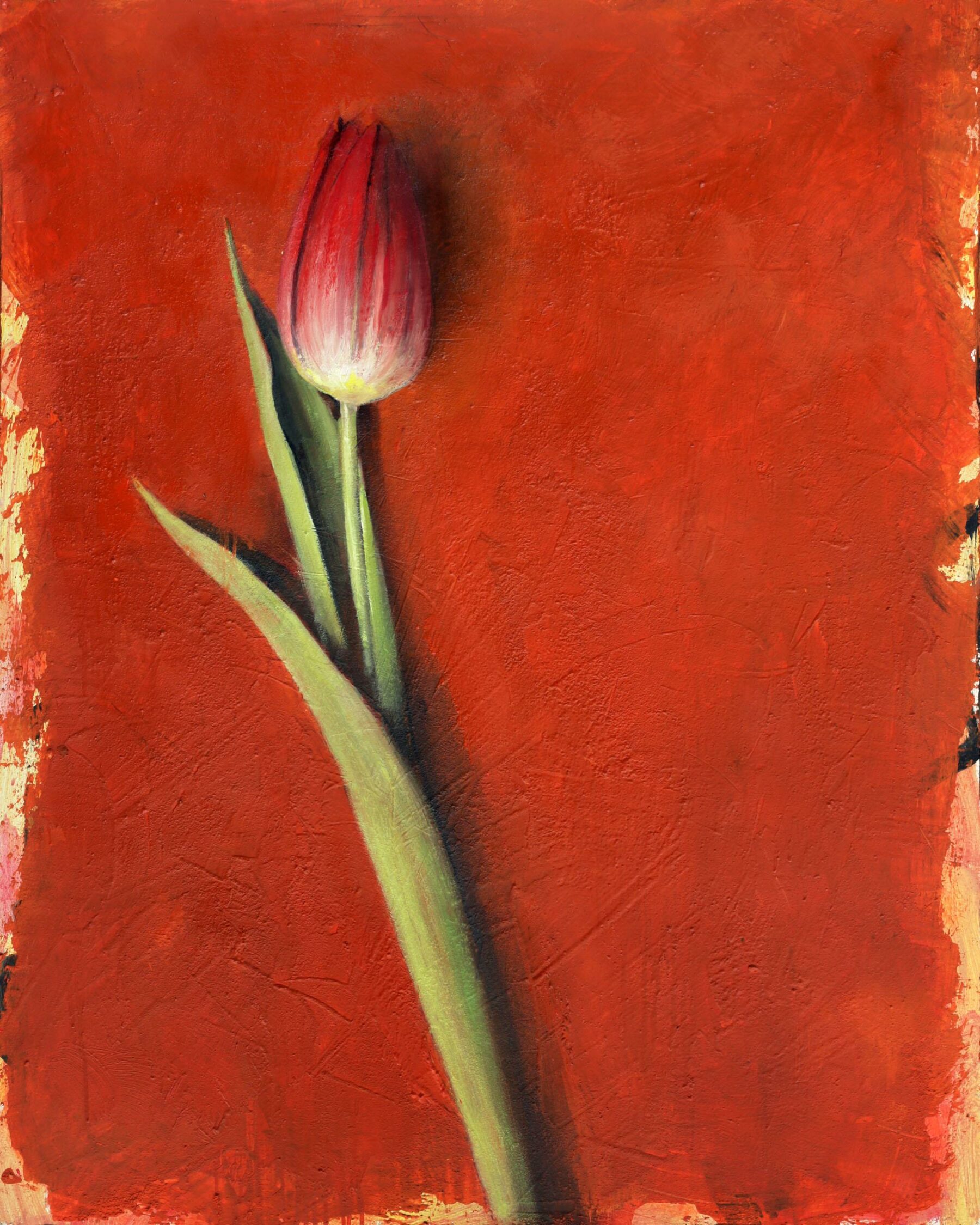 Die Verschwiegene (Tulpe) - Lauterjung, Michael - k-2602ML18