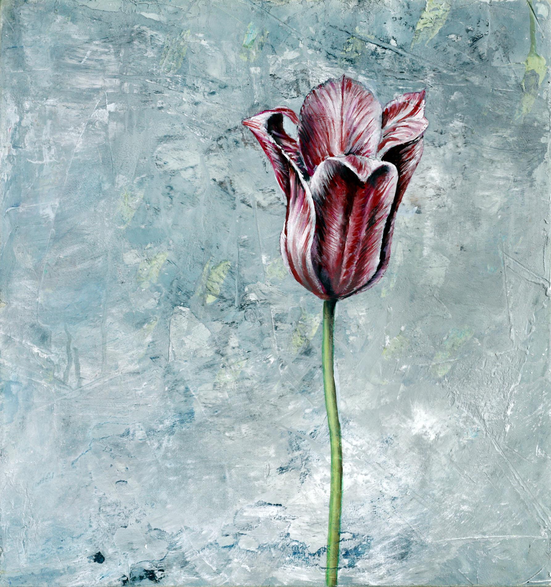 Tulpe (G.F./Blatt 97) - Lauterjung, Michael - k-2602ML26