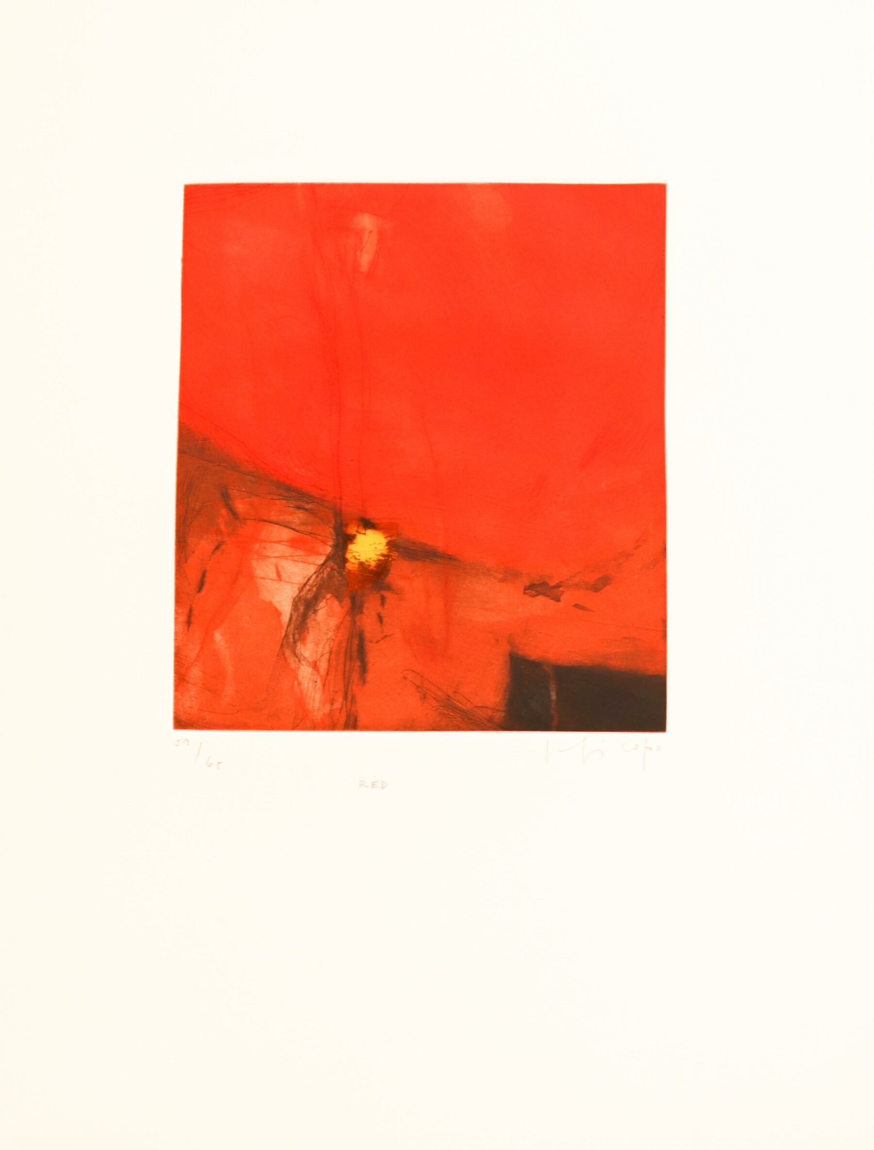 Joaquin Capa / Red - Capa, Joaquin - k-12928
