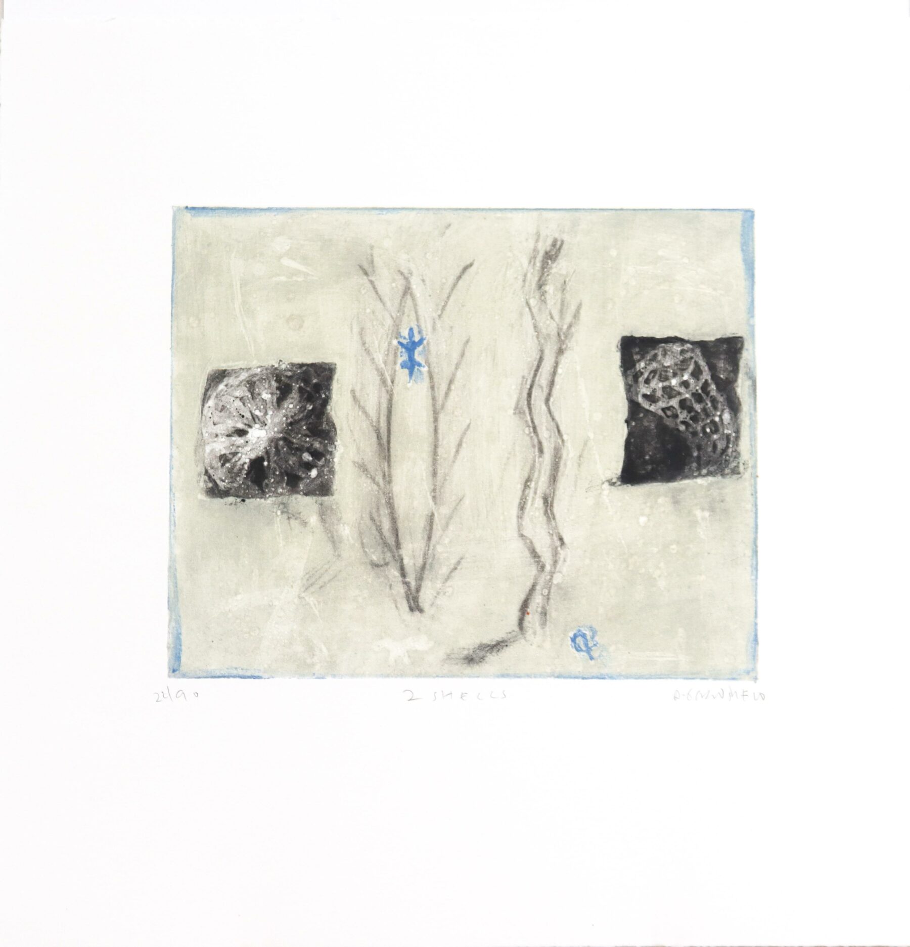 2 Shells - Gorodine, Alexis - k-13698