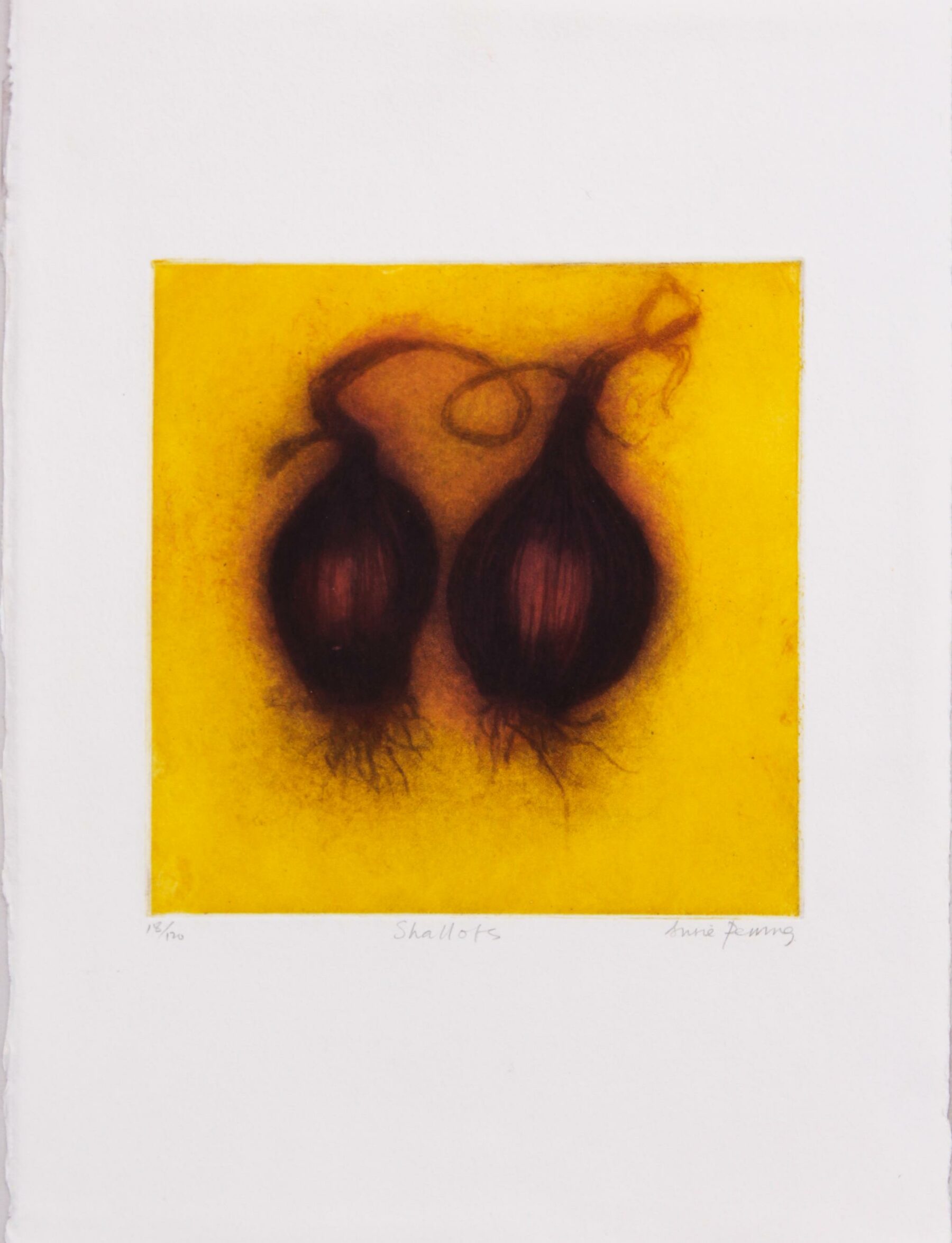 Shallots - Perring, Susie - k-13847