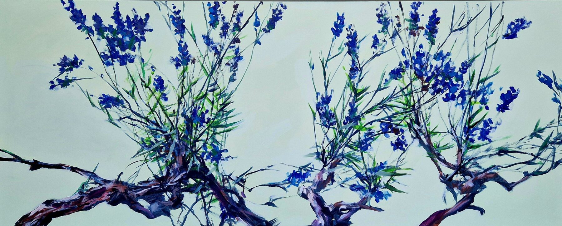 Lavendel - Schemmann, Jörg - k-SCH464