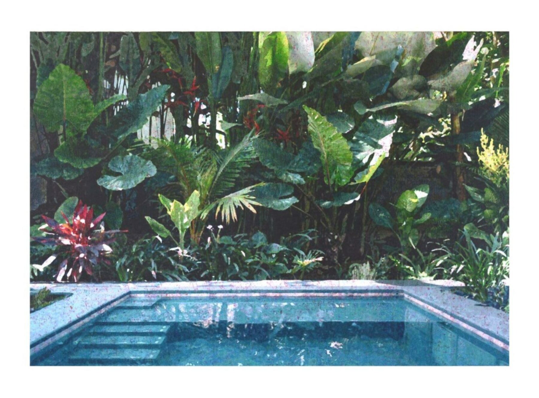 Pool mit Blüten - Petschat, Ralph-J. - k-2606RP01